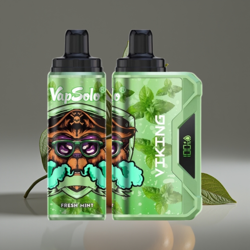 VapSolo VIKING 12000 Puffs 22ml Fresh Mint Disposable Vape